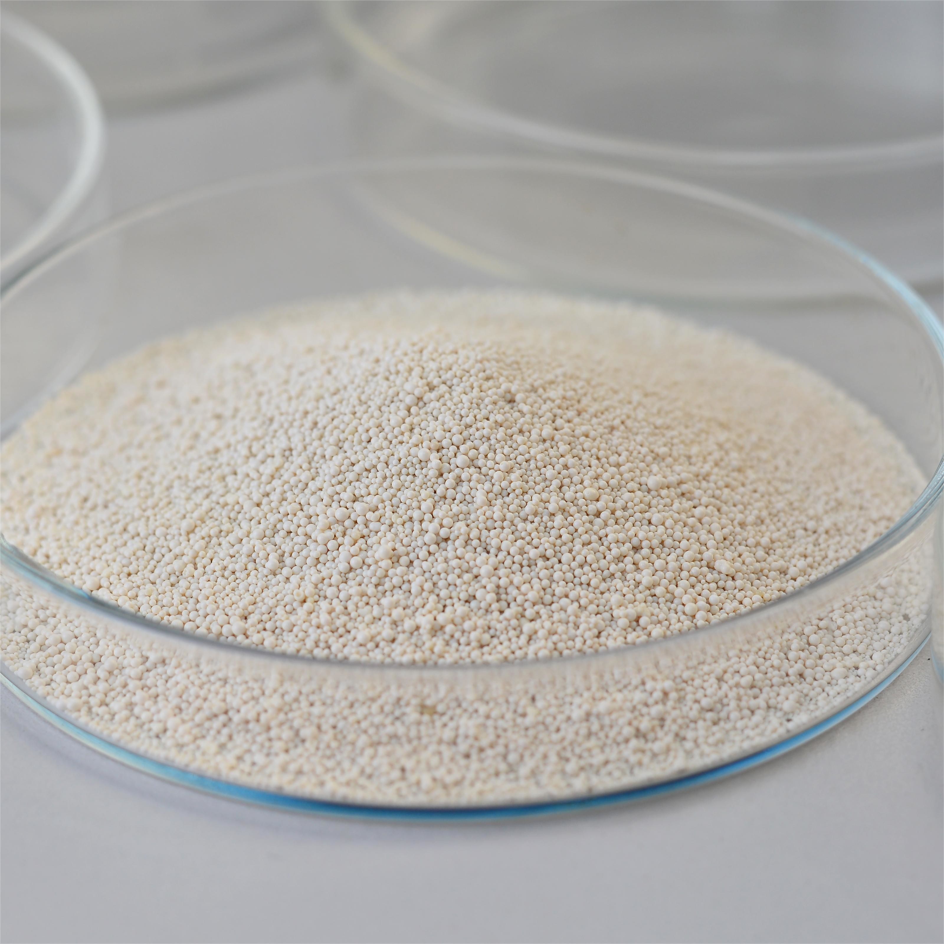 Thermostable Alkaline Protease